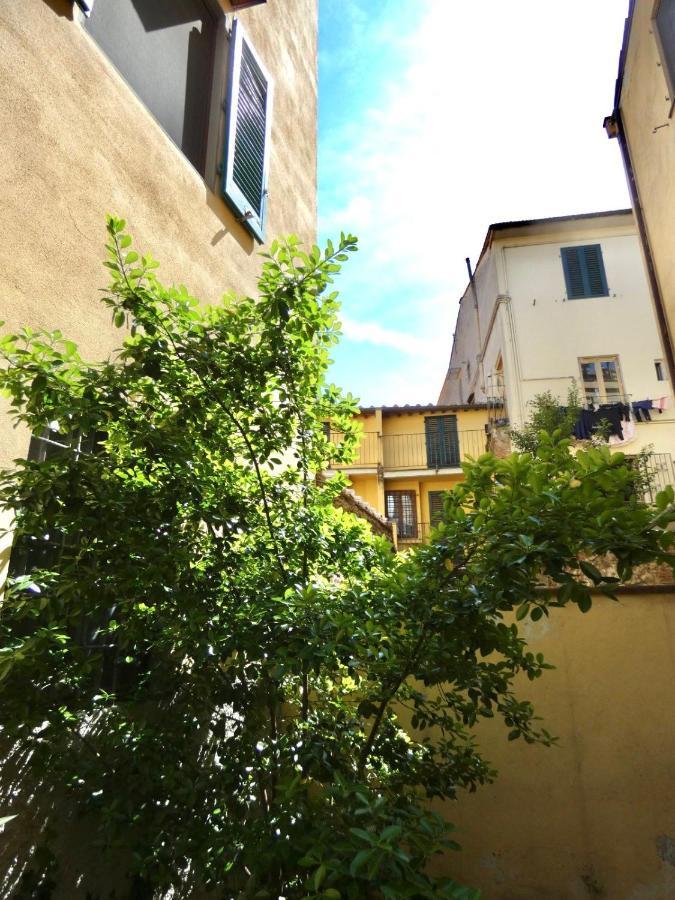 Maila Apartments 25Min From Florence ปาล์มเดดเซิร์ท ภายนอก รูปภาพ